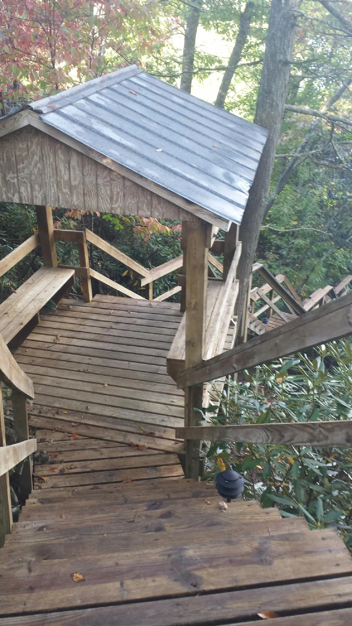 Metal roofed shelter over wooden steps on a wooded walkway — Skylight Repair & Installation work by our crew in Pleasant Hill